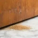Dedetização de Cupins bigorrilho Curitiba